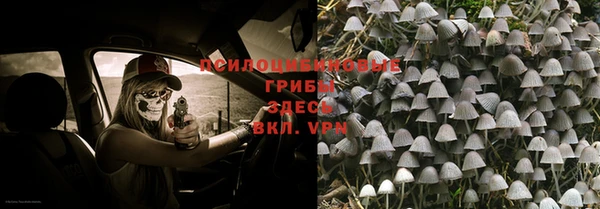 соль ск Балабаново