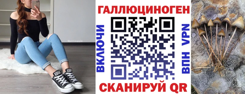 Галлюциногенные грибы Cubensis  Рудня 